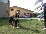 carlotta2