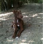 charlie_017