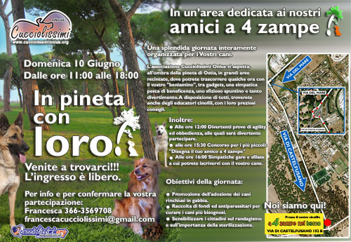 in-pineta-con-loro
