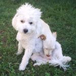 mietta-e-licia1