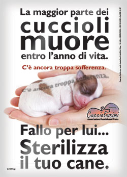 sterilizzazione--fronte_web