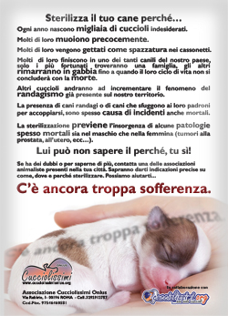 sterilizzazione--retro_web