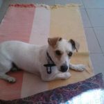 testimonianza_artu_copy