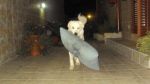 testimonianza_lucky2