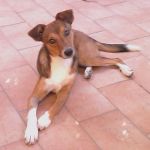 theo-ed-emanuela2