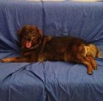 trudi_a_casa