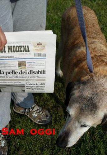 3_Sam_oggi