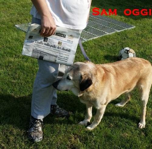 3_Sam_oggi_2