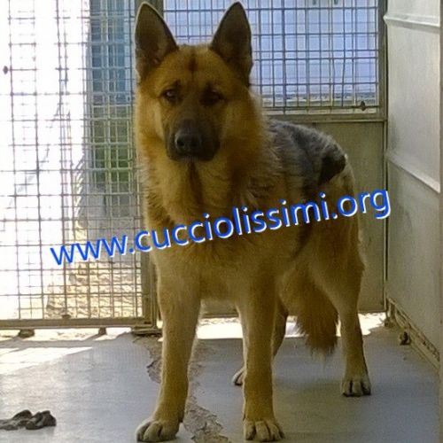 469-151_copy