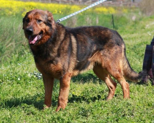 ATHOS_3