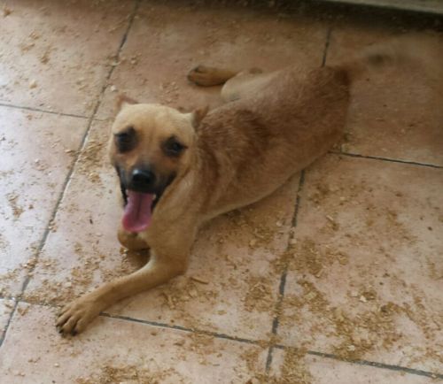 Billo3