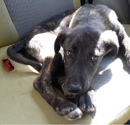 CLOE2