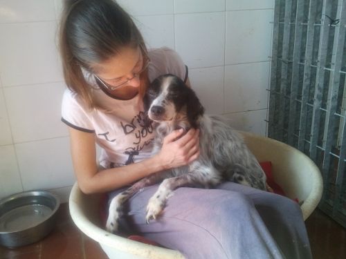 CUORE_6