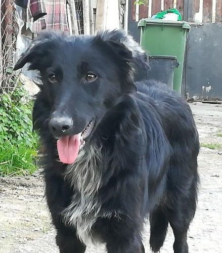 Elliott20171204-WA0009