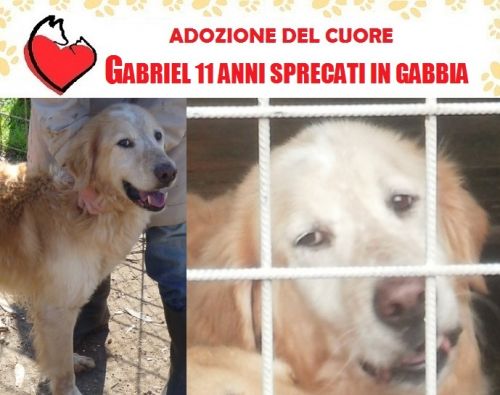 GABRIEL_APPELLO