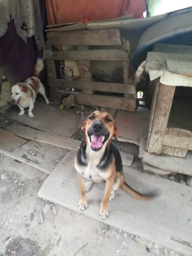 Gilda_2