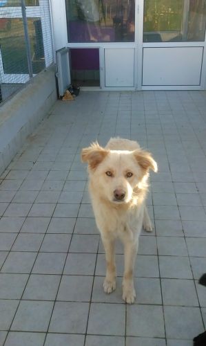 Giusy1
