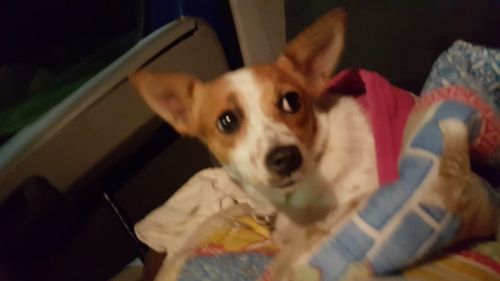 IMG-20191110-WA0028