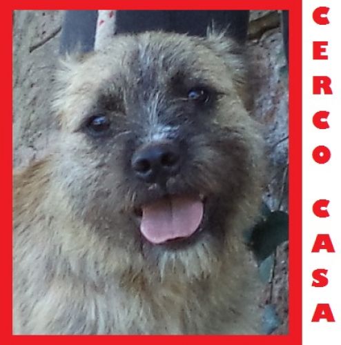 KIRA_CERCO_CASA_copy