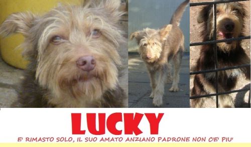 LUCKY_SOS