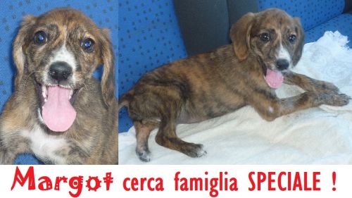 MARGOT_CUCCIOLISSIMI