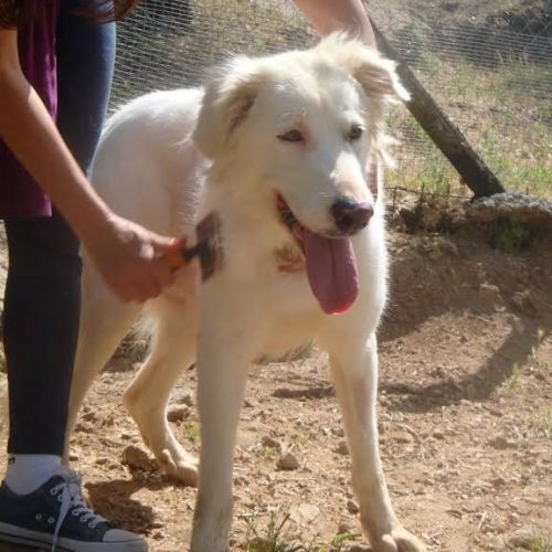 MATILDE