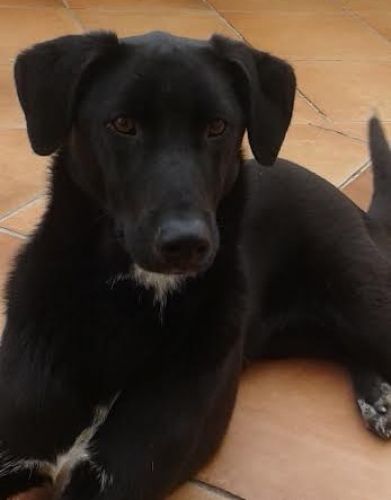 Nayra