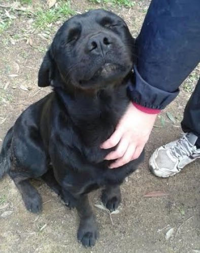 Nerone_copy