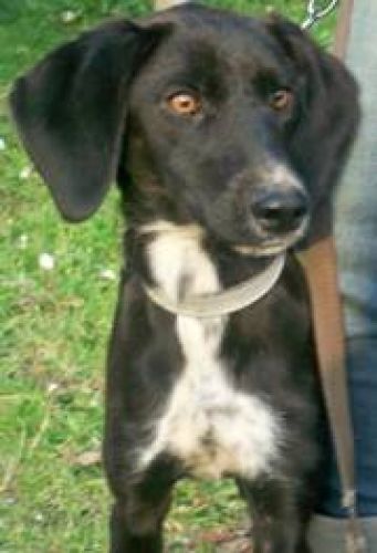 SNOOPY_alpha