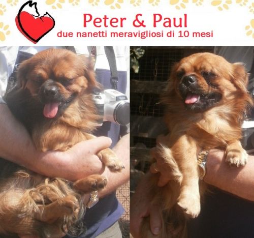 SOS_PETER_E_PAUL