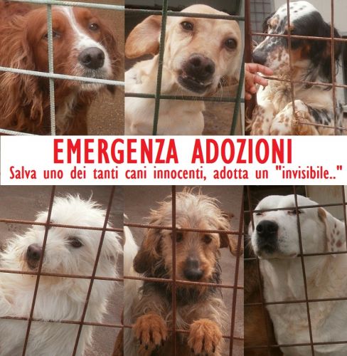 SOS_mix_fontana_gennaio