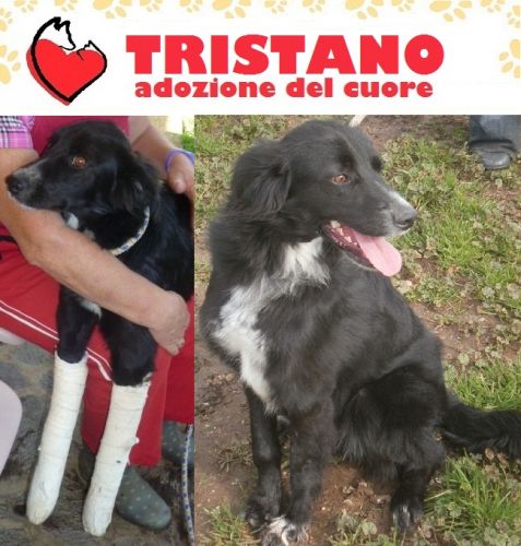 TRISTANO_MIX
