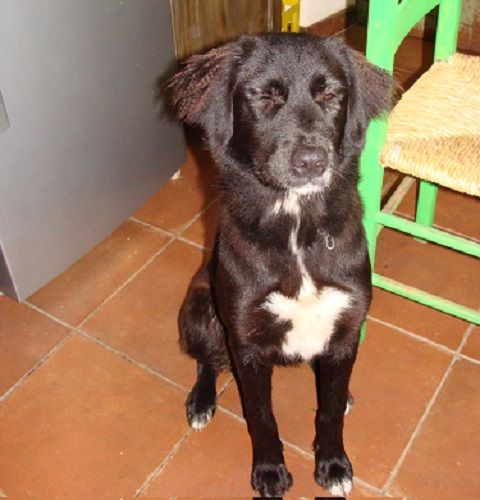 TRUDY-SMARRITA_2