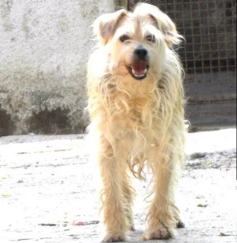 YORKY_quintomondo