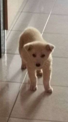 ZOEY