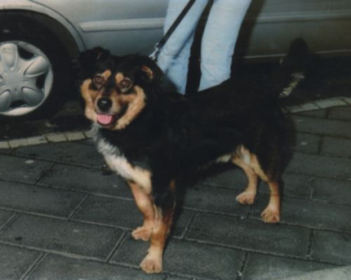 argo_salerno