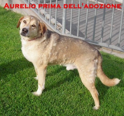 aurelio_ieri