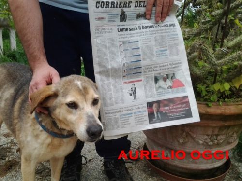 aurelio_oggi