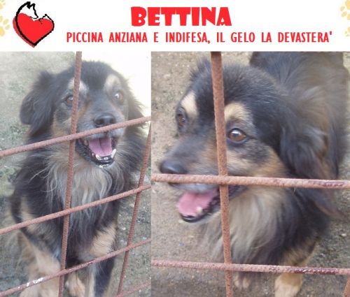 bettina