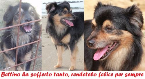 bettino_appello