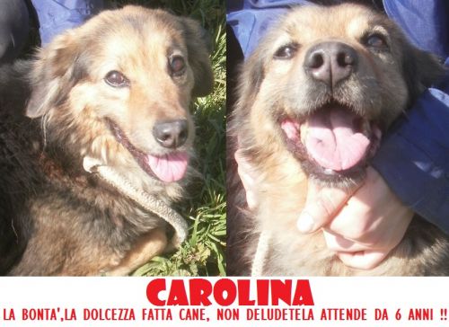 carolina_39_CUCCIOLISSIMI