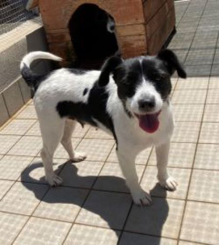 claretta_1319