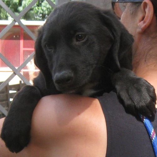 cloe