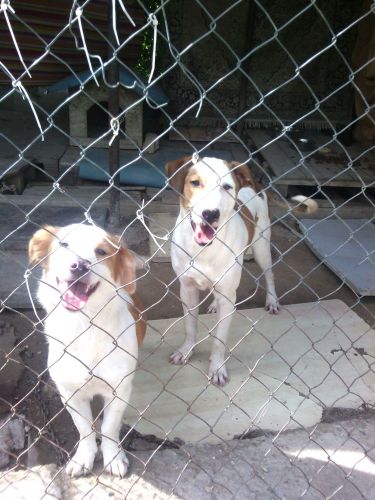 cloe_e_billy_1443277835959-3