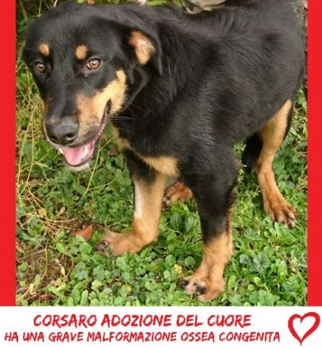 corsaro_facebook