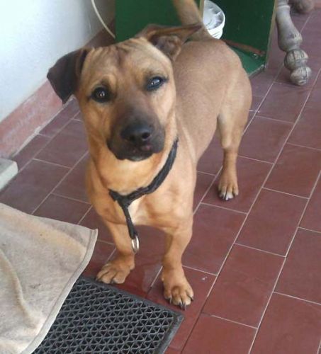 cucciolotto_Tivoli