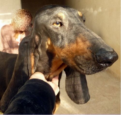 dakota3
