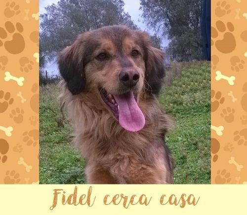 fidel_2