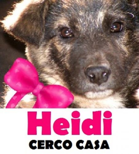 heidi_FACEBOOK