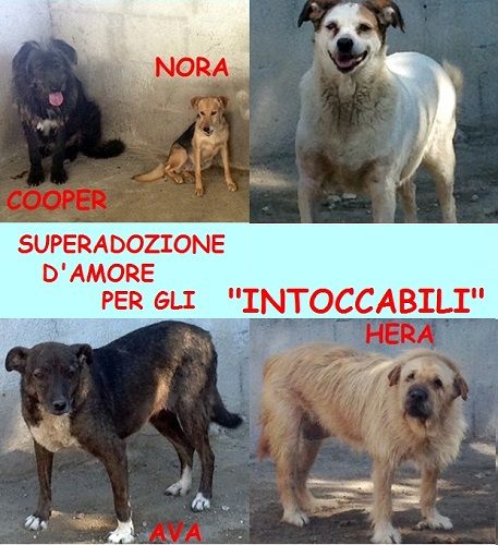 intoccabili_2